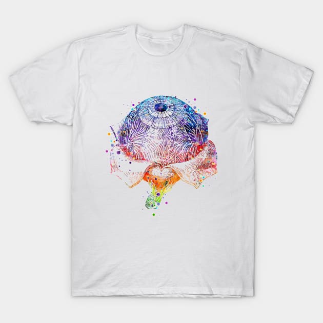 Eye Anatomy Watercolor Painting T-Shirt by LotusGifts